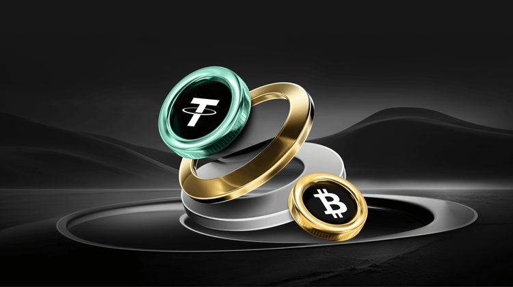 Morning Report | DeepSeek completes over $7 billion in financing, with a valuation exceeding $50 billion; Musk's personal wealth has surpassed the total market value of Bitcoin